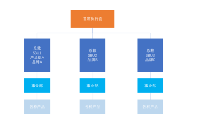 2023注会《战略》重编考点:横向分工八种结构