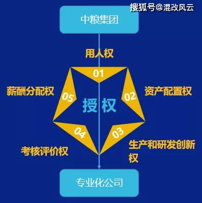 独家 中国特色公司治理 国企混改5月报发布